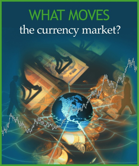 What Moves the Currency Market?