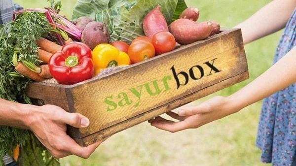 Sayurbox, Start Up Sukses Indonesia