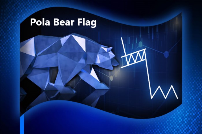 Pola Bear Flag