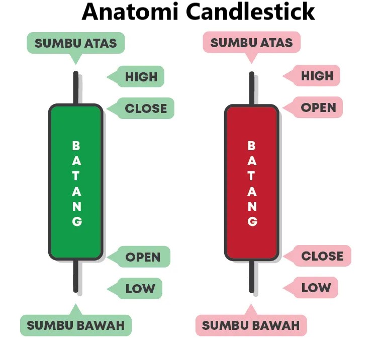 anatomi candlestick