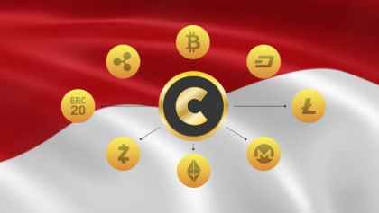 bitcoin red monede piap piap)